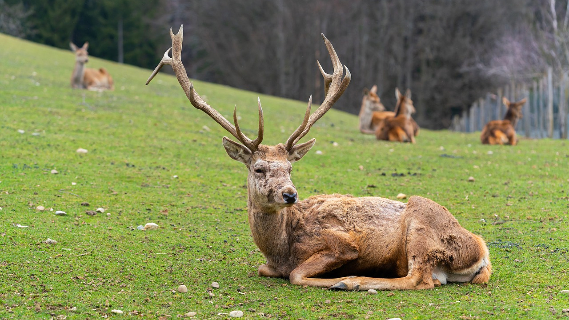 Découvrez la richesse du parc naturel Normandie-Maine