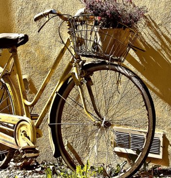 Dolus d'Oléron : pensez à la location des vélos !