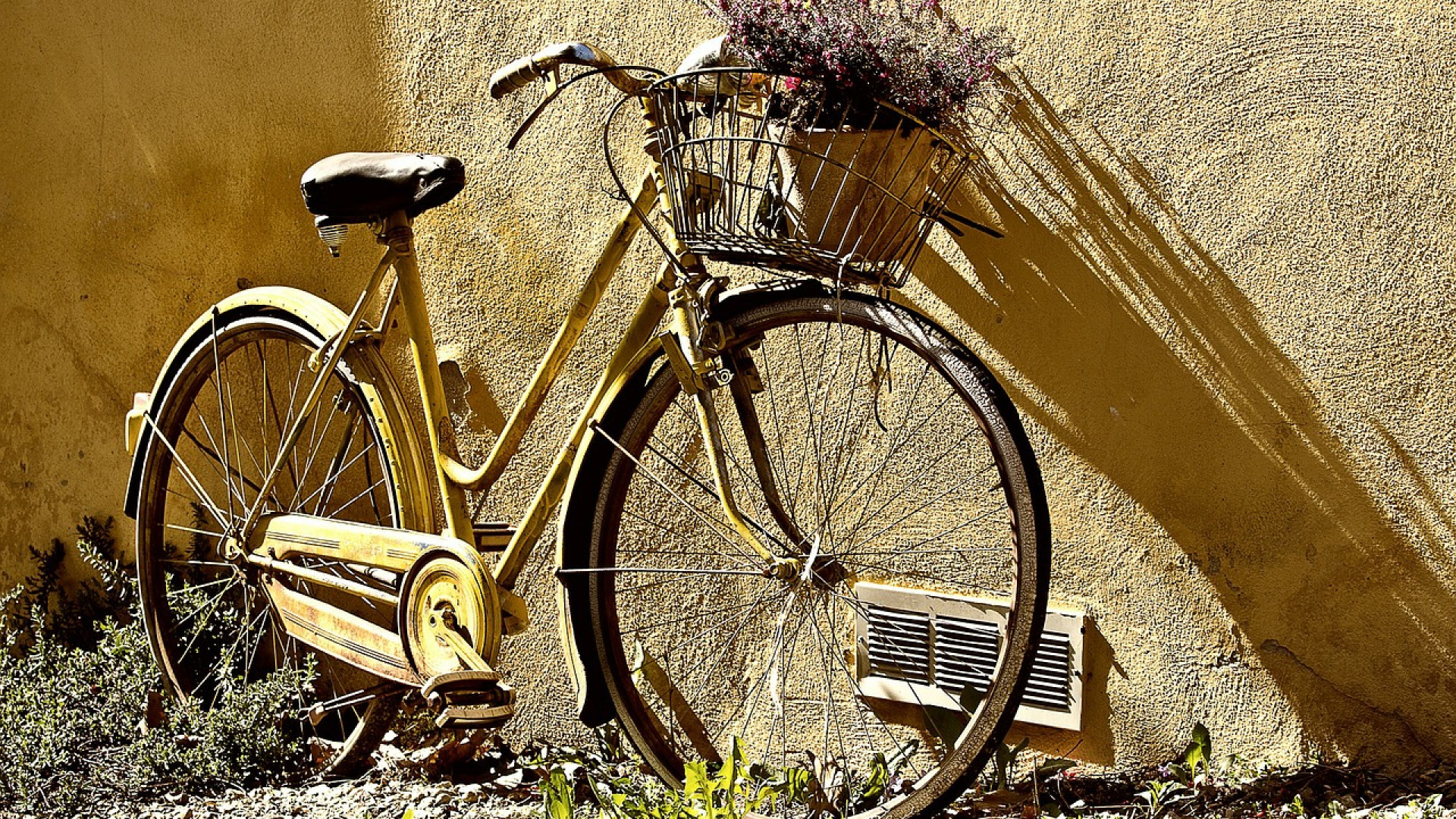 Dolus d'Oléron : pensez à la location des vélos !