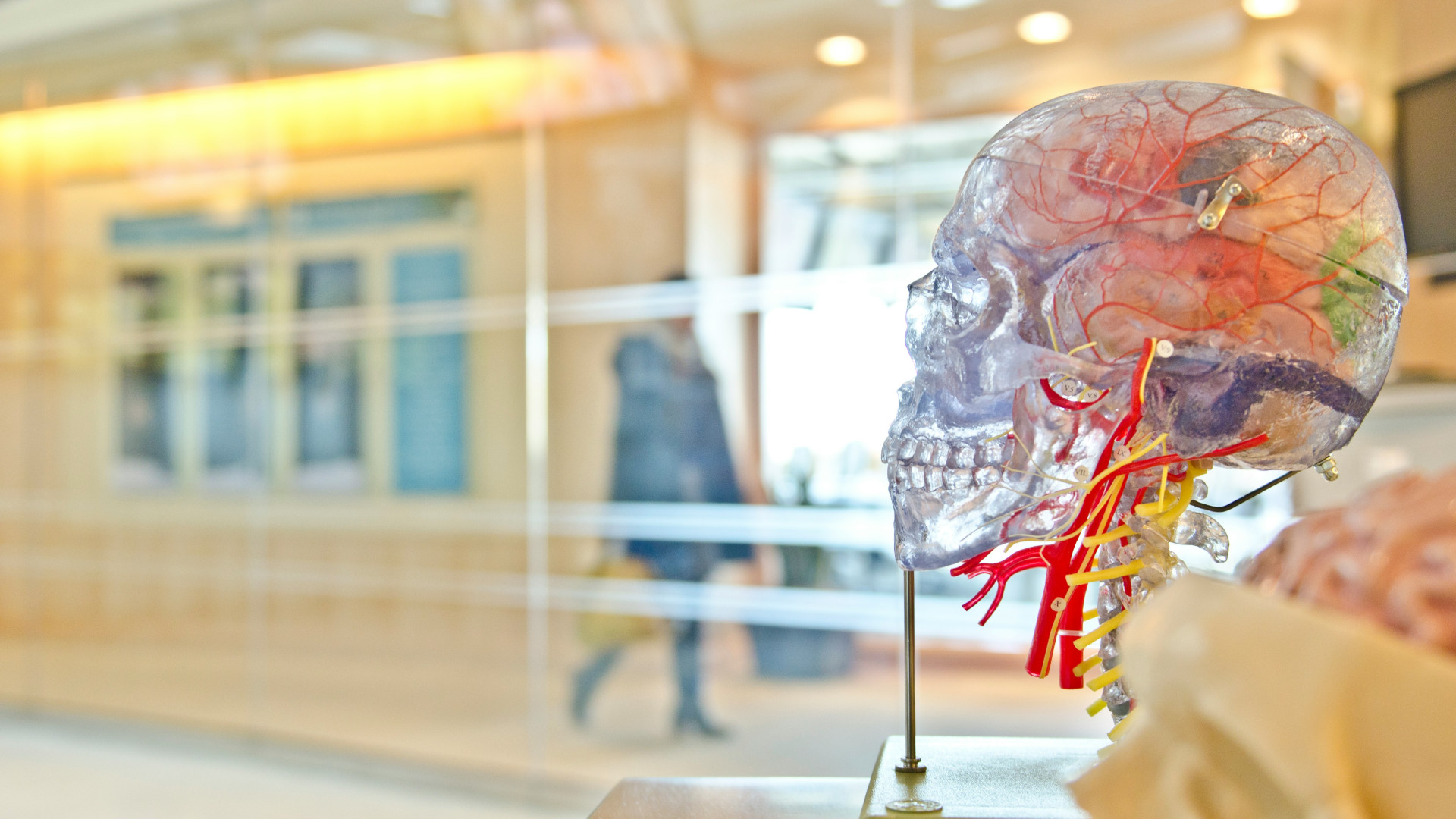 Les centres de sciences : une sortie familiale ludique et éducative